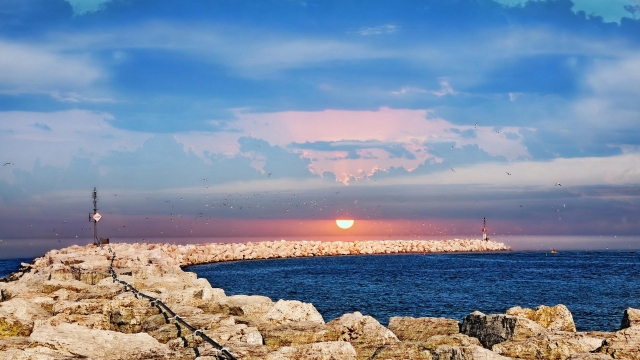 米乐集团乒乓球台上的风景